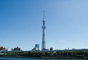 Leonardo Shinozaki